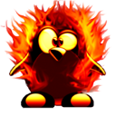 Penguin pingouin pinguino 679